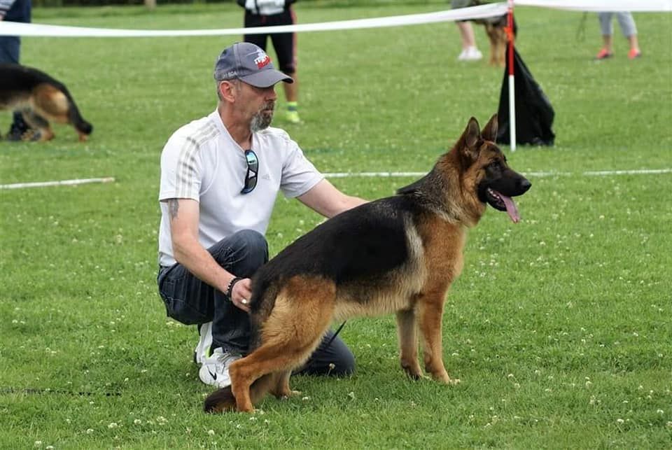 R'mione de starke wolfe